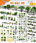 风景树SU模型