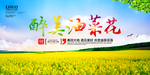 油菜花——张生制