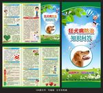 预防狂犬病三折页