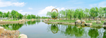 黄水河湿地公园