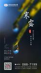 寒露节气海报