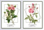 清新植物花卉装饰画