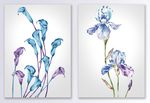 水彩植物花卉图案装饰画