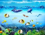 海底世界