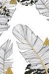 简约热带植物装饰画
