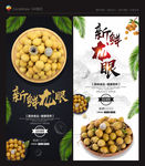 龙眼