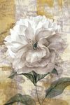 现代白色花卉装饰画