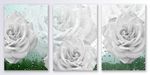 简约牡丹水滴装饰画