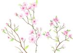 粉色花