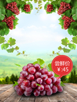 葡萄