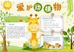 爱护动物小报