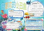 小丑鱼小报