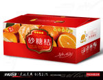 桔子包装 水果包装 橘子 芦柑