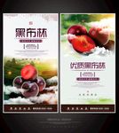 黑布林