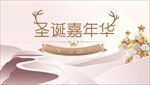 圣诞节