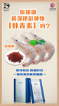 化妆品海报