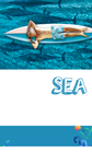 海城沙滩