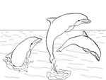 简约海豚可爱卡通矢量图