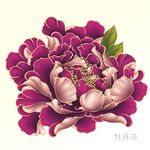 国画牡丹花