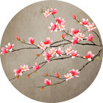 手绘玉兰