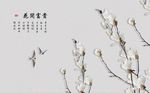 现代简约立体玉兰花树背景墙