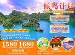 越南    候鸟计划  旅游