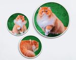 现代猫咪油画动物装饰画