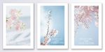 日式小清新梦幻浪漫樱花装饰画