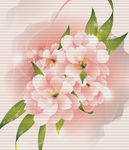 花纹