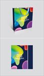 高档商务通用文化手提袋展开图