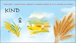 小满