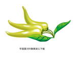 山椒