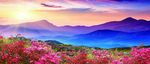 青山出日红花遍开