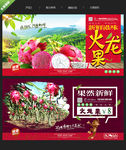 火龙果