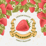 草莓手绘矢量插画