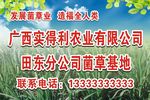 广西实得利农业有限公司