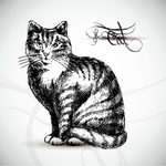 矢量猫咪