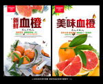 血橙