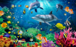 海洋生物