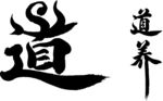 道  养