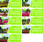 双创 创卫城市 全国卫生城市
