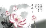 新中式水墨荷花背景墙