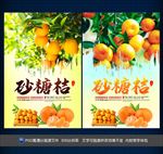 砂糖桔