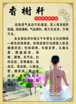 美容养生