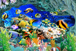 海洋生物