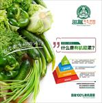 有机蔬菜知识宣传图片