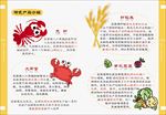 儿童 卡通 宣传册 可爱 手册
