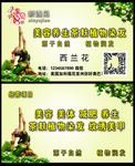 新遇见你18岁