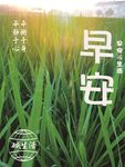 早安 图片