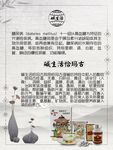 糖尿病 养生 食疗海报